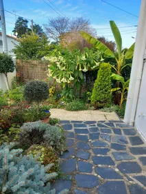 Ground floor of house with garden. 900 m to beach - Image 5