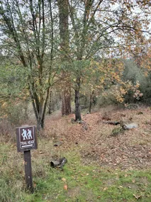 Ranger Roost North w/Creek & Mountain Views - Image 5