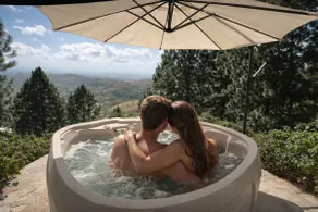 Romantic Cabin with Jacuzzi and Ocean & Mountain Views - Image 4