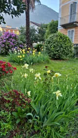 Magic Rainbow - Historic House with Garden - Image 2