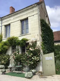Great house in Touraine, 5 minutes from La Roche-Posay. - Image 5