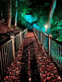 GameRm-Waterfall-FALL/WinterWonderland Slp19FirePt - Image 2