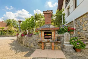 Vrtin Vineyard Family Retreat - by Happy Rentals - Image 3