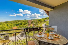 Vrtin Vineyard Family Retreat - by Happy Rentals - Image 2