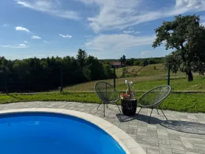 Cvetković hill wooden holiday home with pool - Image 3