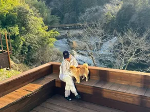 Adult Getaway with Waterfall-View Open-Air Bath and Sauna / Natural Mineral Spring / BBQ / Pets Welcome / Maximum 8 Guests / Katsuura - Image 4