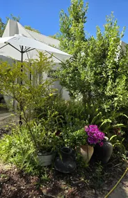 Light-Filled Magical Apt. Surrounded by Nature - Image 5