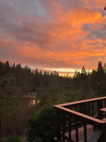 Epic stargazing at the Treehouse Chalet - Image 2