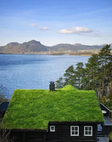Hygge paradise - 14 min away from the Pulpit Rock. - Image 4