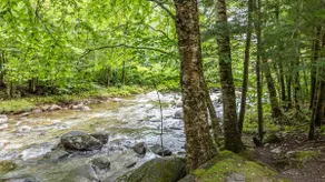 Upscale Vermont Condo off of Mountain Rd - Image 3