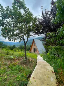 Hill Guesthouse & Cottages - Wine Cellar, Fish Farm & Organic Cuisine - Image 3
