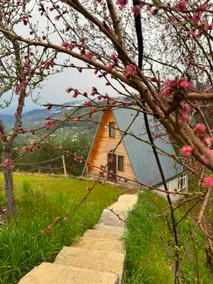 Hill Guesthouse & Cottages - Wine Cellar, Fish Farm & Organic Cuisine - Image 5