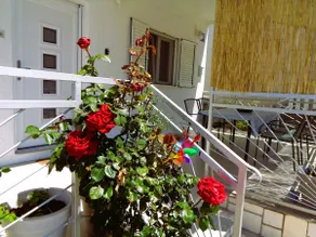 Holiday Home Sunny Retreat - Image 3