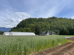 Cozy Garden Guesthouse with Spectacular View - Image 4