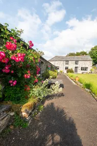 Courtyard Farm Cottages - Image 2