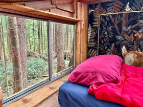 ”Lucky Crow” Dog-friendly Near Ruby Beach - Image 2