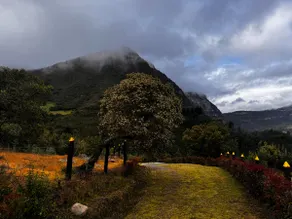 Country house, with a family and magical atmosphere. - Image 5