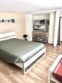 Spacious accommodation, garden, 10 min CDG/Asterix/Paris - Image 2