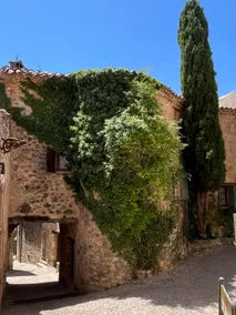 Chateau Puget - Image 4