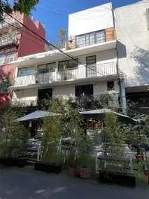 Casa Rebollar 4 blocks from the Chapultepec Forest - Image 3
