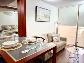 Modern 1BR near Bellas Artes - Santiago Centro - Image 4