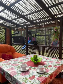 Cottage in a pine forest - Image 2