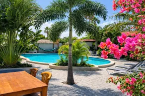 Superior Suite in Tropical Oasis with Pool - Image 5
