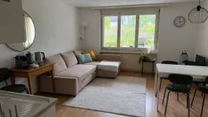 Meiringen Retreat - Sauna, Terrace & Pinball - Image 2