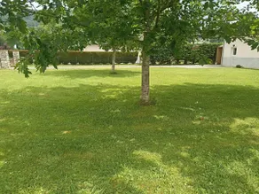 Charmant Petit Gîte en Soule - Image 5