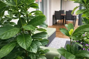 Design Lodge - Apartment with terrace - Image 3