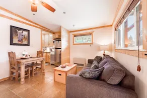 Cabin-on Main-1 Bed 1 Bath 1 SleepSofa Pet w/ Fee - Image 3