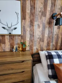 The Haven, a cozy cabin in the woods. Pet friendly - Image 4
