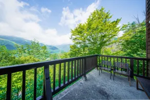 Free Breakfast/Resort Shuttles/10 people/VISTA - Image 2