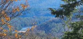 Cozy Adirondack Cottage in private 80 acre woods. - Image 2