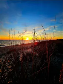 BeachHaven: STEPS TO SAND, Pet-Friendly, +Linens - Image 2