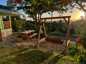 Peaceful coffee mountain escape - Image 2