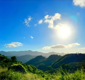 Peaceful coffee mountain escape - Image 4