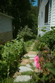West Asheville Walkable Pet Friendly Retreat! - Image 5