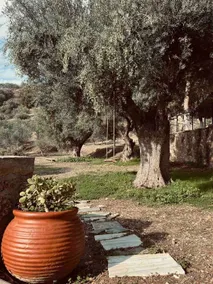 Olive Grove · Sleeps 8 - Peloponnese Hideout - Image 5