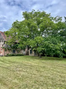 Country house with 1,000 sqm garden, 8 guests, 1 hour from Berlin - Image 4