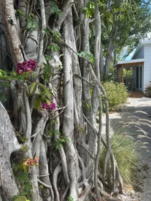 Downtown Garden Studio close to everything - Image 3