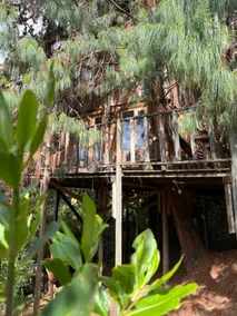 Cabin at Blueberry Farm “Pinos” - Image 2