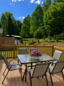 Cozy Cabin with pool near Lake Lure, Chimney Rock - Image 4