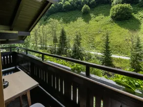 Chalet in Tirol by Zillertal Ski Slopes - Image 5