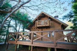 Log cabin surrounded by the warmth of wood [Log cabin with vibrant fall foliage] - Image 5