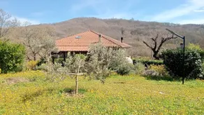 House surrounded by greenery - Image 3