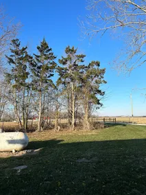 Lake Shelbyville Cozy, Country Home - Image 3