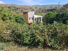 Farm with beautiful natural view of LA JOYA - Image 3