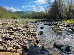 Family Fave near Storyland | Walk to River | Pool - Image 4