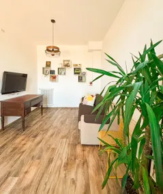 Apartment among olive trees and nature near the sea - Image 4